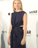 Gwyneth Paltrow at Inaugural Hong Kong amfAR Charity Party - March 14