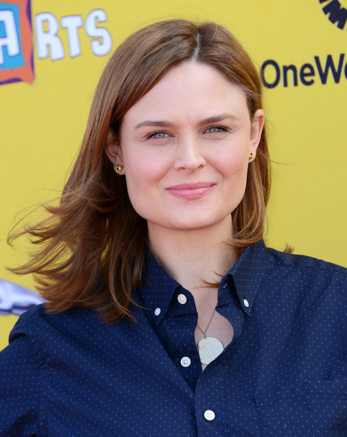 Emily Deschanel attends the Arts Express Yourself 2014 - November 16