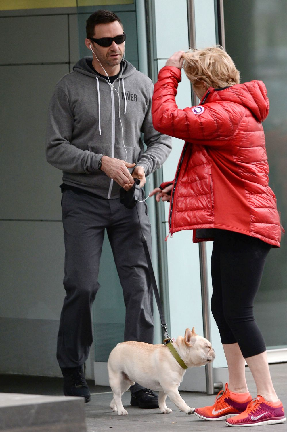 Hugh Jackman and Deborra-Lee Furness Walking Their Dog in Manhattan - November 25